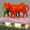 Cows, 2008