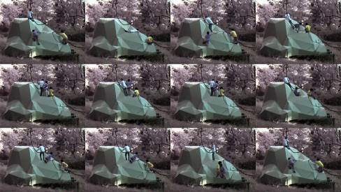 Mother Nature Web Cam