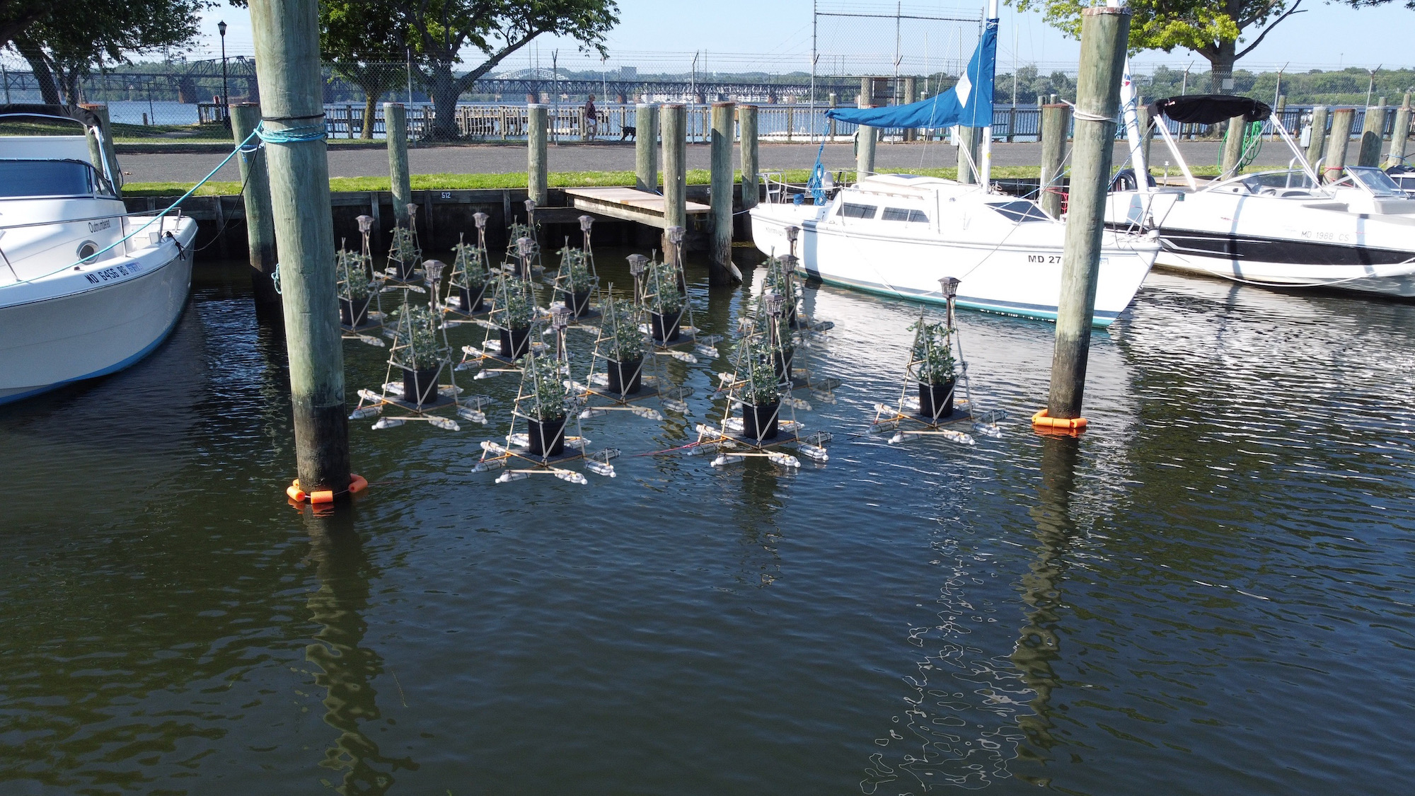 Floating Garden Chad Curtis